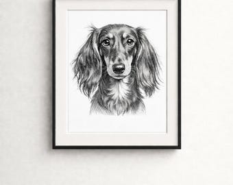 Croquis de teckel à poil long | Art minimaliste noir et blanc pour animaux de compagnie (téléchargement numérique)