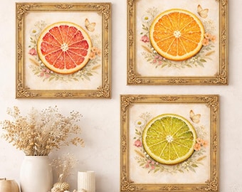 Ensemble d'impressions d'art botanique agrumes, illustrations vintage citron vert orange pamplemousse (téléchargement numérique)