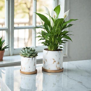 Modern marmorliknande keramisk kruka med guldbas, vit kruka