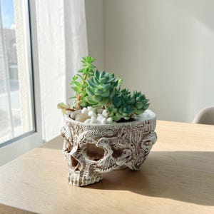 Gothic Skull Planter: Detailed Carved Indoor Plant Pot (14x11cm)