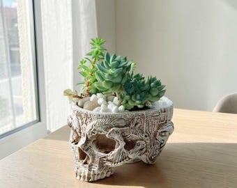 Gothic Skull Planter: Detailed Carved Indoor Plant Pot (14x11cm)