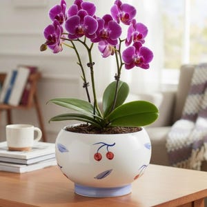 Cherry Print Ceramic Plant Pot: Decorative Glossy Indoor Planter Bowl