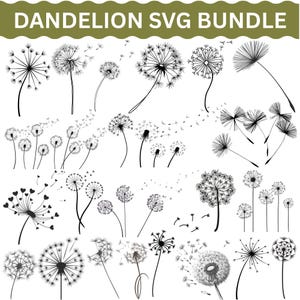 May include: A collection of black and white dandelion illustrations in various stages of bloom. Some dandelions have seeds blowing away. The text "DANDELION SVG BUNDLE" is at the top of the image.