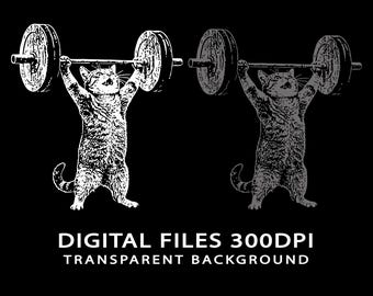 Funny Cat Deadlift SVG, Workout Meme Cat PNG (Digital Download)
