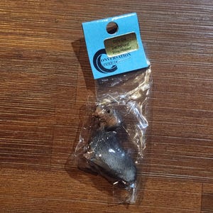 May include: A small, grey and brown dachshund figurine in a clear plastic bag with a blue tag. The tag reads "DTN-124 Dachshund Wire-Haired" and "CONVERSATION concepts inc."