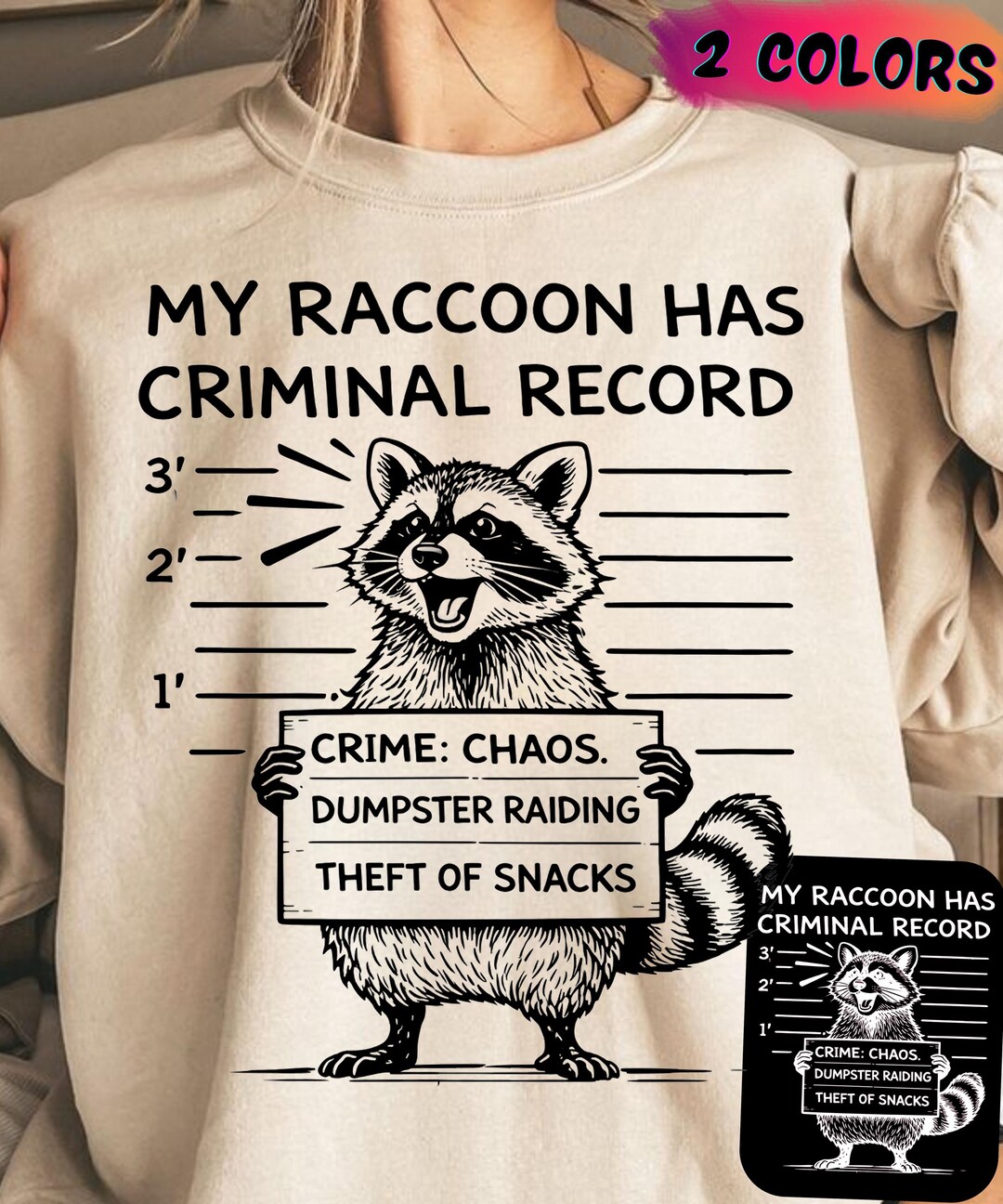 My Raccoon Has a Criminal Record PNG Funny Trash Panda Meme Design ...