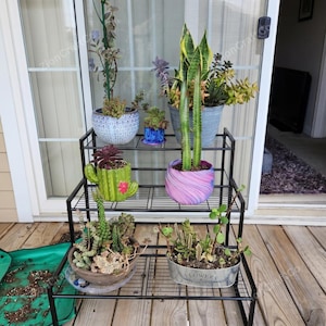 May include: A three-tiered black metal plant stand holding various potted succulents and cacti. The collection includes a blue patterned pot, a green cactus-shaped planter, a pink and purple marbled pot, and a silver metal planter labeled Flowers.