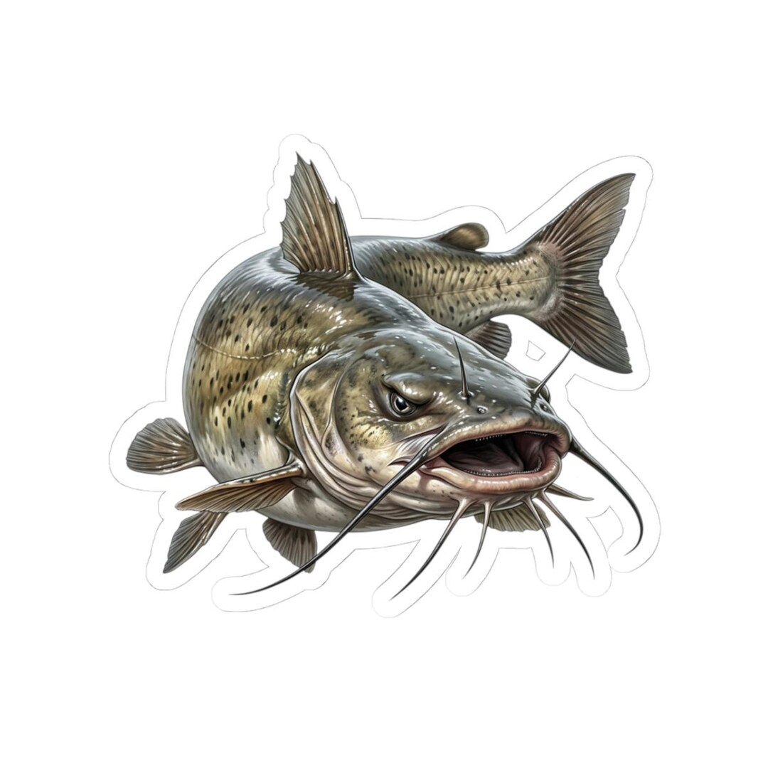 Angry Agressive Catfish Sticker | Kiss-cut Sticker - Etsy