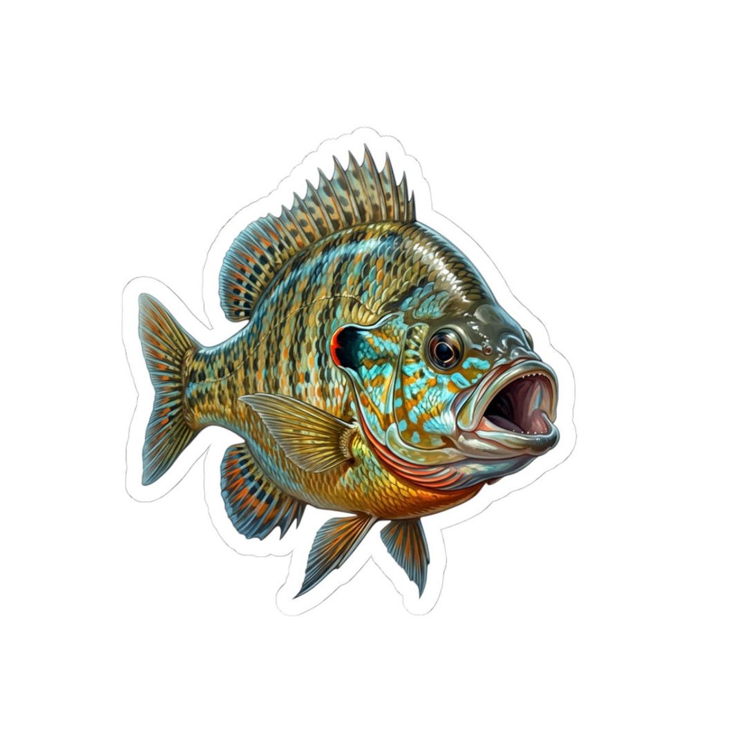 Bluegill Sunfish Sticker | Kiss-cut Vinyl Fishing Decal - Etsy