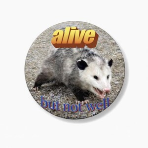 May include: A round button featuring an opossum with the text "alive" in orange and "but not well" in blue. The opossum is gray and white with a pink nose and is set against a neutral background.