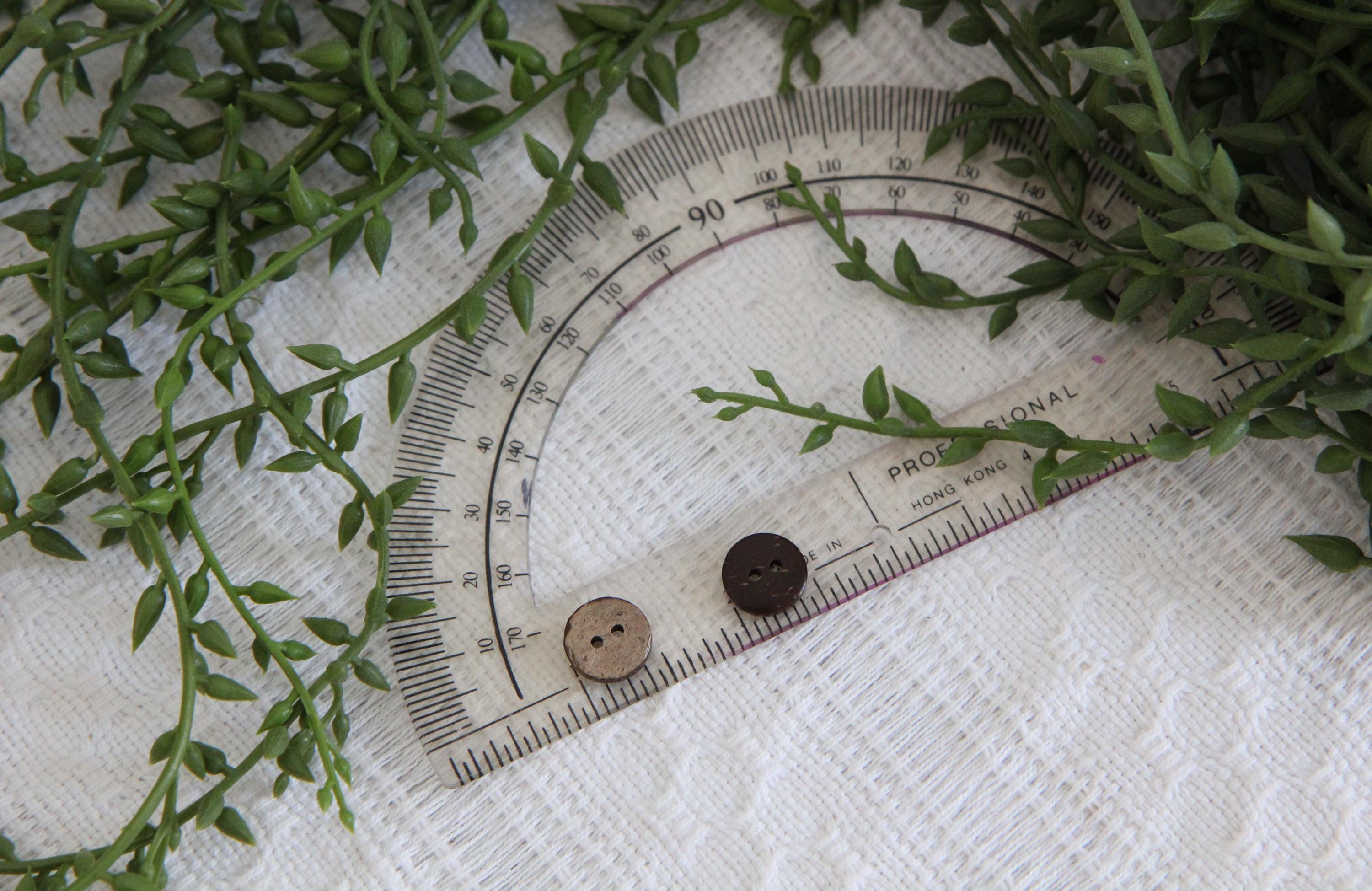 Half Inch Button Wooden Buttons Half Inch – Natural Sewing Notions for Crafts & Clothing ...