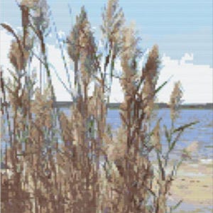 May include: A digital art print of tall, dried grasses with feathery seed heads. The grasses are a mix of tan and brown, set against a blue sky with white clouds and a body of water in the background. The scene evokes a sense of nature.