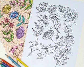 Floral Coloring Page: Hand Drawn Botanical Art (Instant Download)