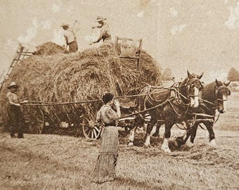 In the Good Old Summer Time – Horse‑Drawn Hayrack & Hay Loader – Early 1900s Farm Scene Postcard – Rural Americana