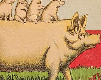 1910 “On the Hog” Antique Postcard – H.I.R. Boston – Prosperity Pig Illustration – Early 20th‑Century Humor