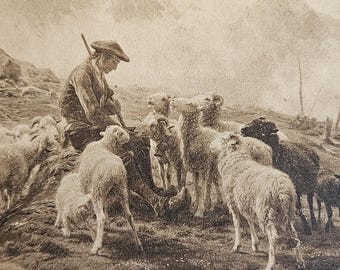Rosa Bonheur – Berger des Pyrénées 1864 – Pyrenean Shepherd & Sheep – Antique Art Postcard