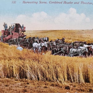 Harvesting Scene Postcard — Combined Header & Thresher — Horse‑Drawn Farm Equipment — Edward H. Mitchell — Early Agriculture