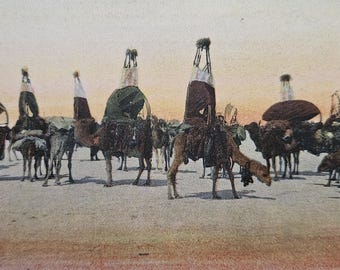 Antique French Postcards (Set of 3) – “Scènes et Types” LL – Sahara Desert Views – Early 1900s Hand‑Tinted