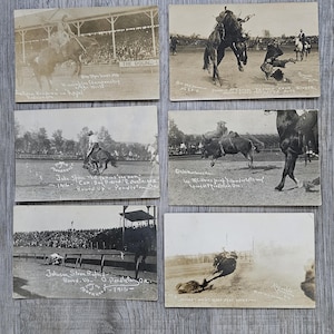 May include: A collection of six vintage black and white postcards depicting rodeo scenes. The images show cowboys riding bucking horses and bulls, with crowds in the background. Some postcards have handwritten text.