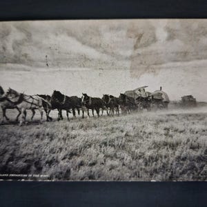 May include: Black and white vintage photograph depicting a team of horses pulling a large wagon across a grassy field. The image is labeled "OVERLAND FREIGHTING IN THE WEST" at the bottom, suggesting a historical theme.