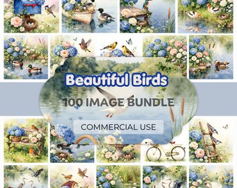 Schöne Vögel Aquarell Grafiken Bundle Gartenteich Verschiedene Vogelbilder Hortensie Blumenvogel Kunst, Cottagecore Floralcore 100 JPG-Dateien