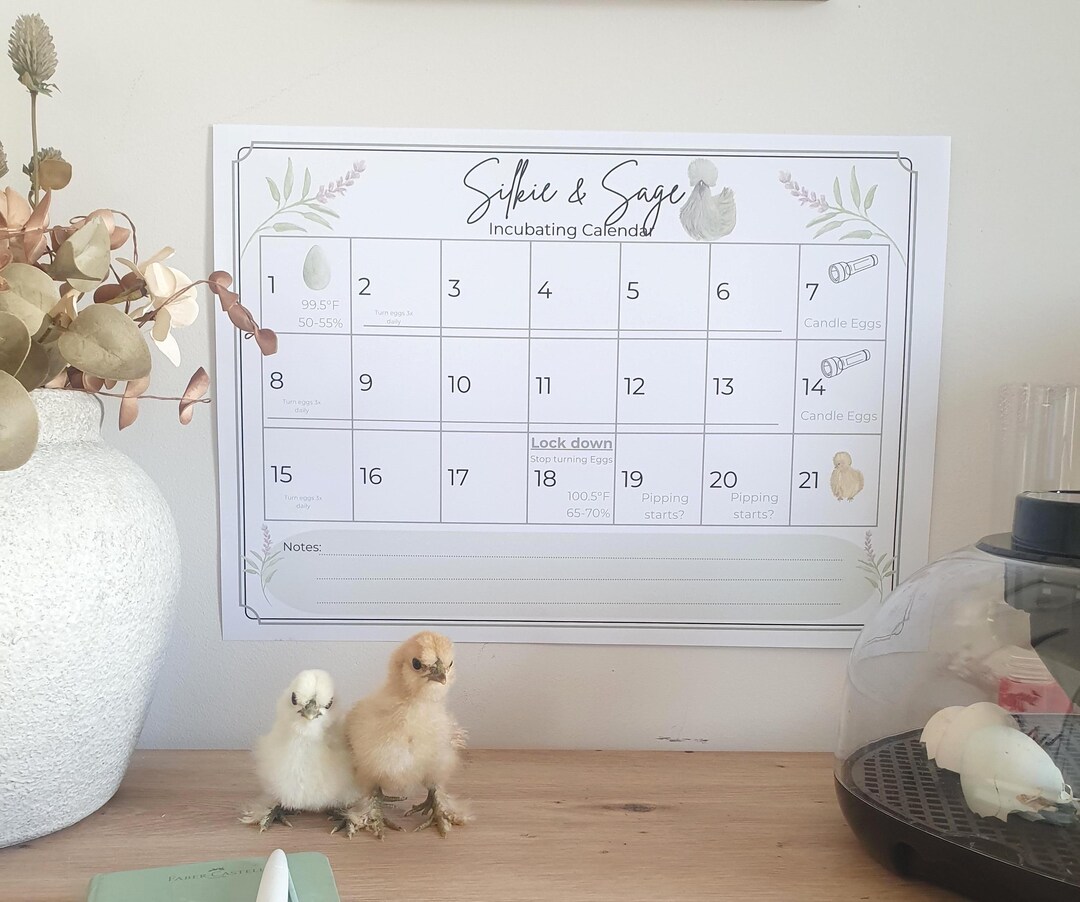 Duck Hatching Calendar.pdf Chicken Incubation Calendar, Silkie Hatching Tracker, Includes Celsius ...