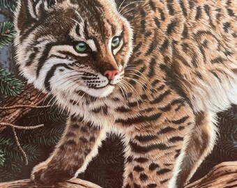 Hamilton Collection Bobcat Plate Watchful Eyes Donald Moyer 1994 Wildlife