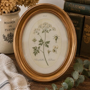 Vintage Gold Oval Picture Frame 8x10 | Hollywood Regency Botanical Wall Decor | Cottagecore Ornate Oval Frame AF526