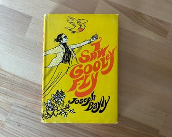 I Saw Gooley Fly 1968 Joseph Bayly – Vintage Christian Fiction – Revell Hardcover with Dust Jacket