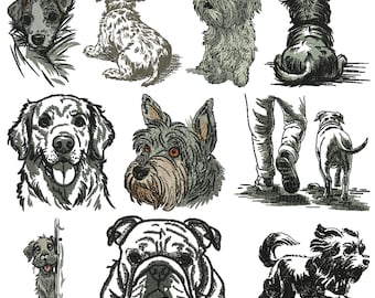 Diseño de bordado a máquina de perro loco y divertido Bordado de perro Bordado de animal de granja caprichoso Diseño de bordado de perro peculiar Descargas instantáneas Pes