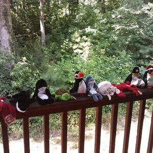 May include: A collection of ten small plush animal toys lined up on a wooden railing. The figures include a red lobster, a black and white orca, a penguin, a green turtle, a puffin, a blue dolphin, a pink creature, a red crab, and two penguins.