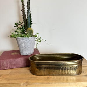 May include: An oval-shaped brass planter with a hammered texture along the sides. The planter has a smooth rim and a polished finish. It is positioned on a wooden surface next to a maroon book and a light gray pot containing various green cacti.