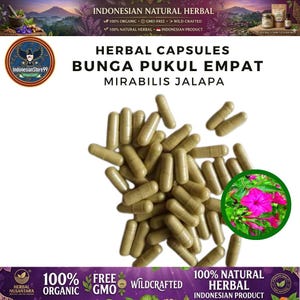 May include: A collection of light brown herbal capsules centered on a white background. Text reads HERBAL CAPSULES BUNGA PUKUL EMPAT MIRABILIS JALAPA. A circular inset shows vibrant pink flowers with green leaves. The top and bottom borders feature text.