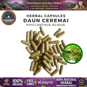 Könnte beinhalten: Ein Haufen hellbrauner Kräuterkapseln mit der Aufschrift HERBAL CAPSULES DAUN CEREMAI PHYLLANTHUS ACIDUS. Der Text enthält INDONESIAN NATURAL HERBAL, 100% ORGANIC, GMO-FREE, WILD-CRAFTED und 100% NATURAL HERBAL. Ein kreisförmiger Einsatz zeigt grüne Früchte.