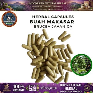 Puede incluir: Un montón de cápsulas de hierbas de color marrón claro etiquetadas como Buah Makasar Brucea Javanica. La imagen incluye texto que indica Indonesian Natural Herbal, 100% Organic, GMO-Free y Wild-Crafted, junto a un recuadro con bayas verdes.