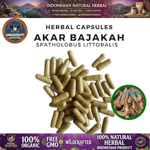 以下が含まれることがあります： Akar Bajakah Spatholobus Littoralisとラベル付けされた薄茶色のハーブカプセルのコレクション。画像には、Indonesian Natural Herbal、100% Organic、GMO-Free、Wild-Crafted、100% Natural Herbal Indonesian Productと記載されたテキストが含まれています。