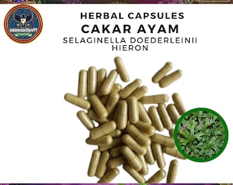 Cápsulas de Selaginella Doederleinii Hieron orgánicas puras: Suplemento / Hierba tradicional indonesia / Totalmente frescas, naturales y recolectadas en la naturaleza.