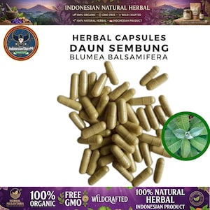 Pode incluir: Um monte de cápsulas de ervas castanho-claras com o texto HERBAL CAPSULES DAUN SEMBUNG BLUMEA BALSAMIFERA. Uma inserção circular mostra folhas verdes. As bordas incluem texto como INDONESIAN NATURAL HERBAL e 100% ORGANIC.