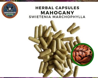 Biologische pure mahonie (Swietenia mahagoni) capsules: supplement | Indonesische traditionele kruiden | Geheel vers en natuurlijk wild gemaakt