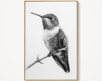 May include: Black and white framed print of a hummingbird perched on a branch. The bird is detailed with a long beak and textured feathers. The artwork is set against a white background, framed in a gold-colored frame.