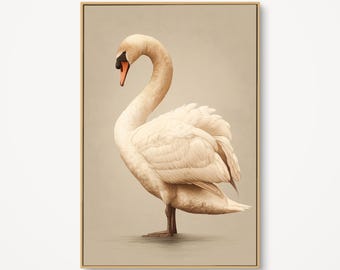 May include: A framed print featuring a detailed illustration of a swan. The swan has white feathers, a curved neck, and a black and orange beak. The artwork is set against a neutral background, with a gold-colored frame.