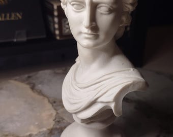 Zeldzame Griekse god Apollo Belvedere - Italiaanse handgesneden buste
