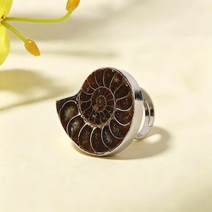 Könnte beinhalten: Ein silberner Ring mit einem polierten, braunen Ammonitenfossil. Das Spiralmuster des Fossils ist in einer silbernen Lünette sichtbar. Der Ring ist vor einem hellen Hintergrund platziert, der die natürliche Schönheit des Fossils hervorhebt.