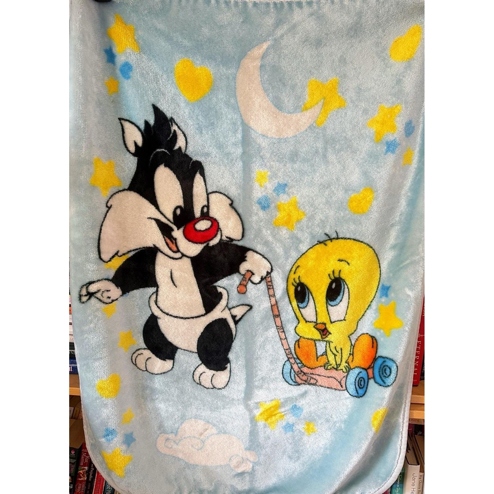 Vintage Tweety Bird Blanket - Etsy