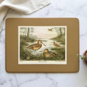 May include: A framed print featuring a detailed illustration of Common Snipe birds in a wetland environment. The artwork showcases several birds with long beaks, set against a backdrop of water, trees, and a soft, neutral color palette. The print is set in a brown frame.
