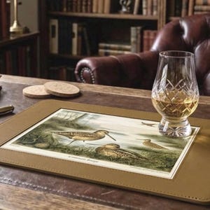 Vintage Game Bird Pub Mats Set of Six