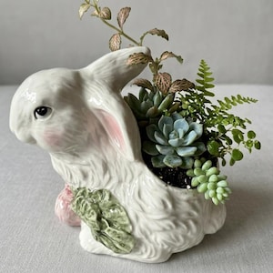 May include: A white ceramic bunny planter with pink accents on the ears and nose, filled with a variety of succulents and greenery. The bunny has a detailed, textured fur design and a green leaf accent. A charming decorative item for home decor.