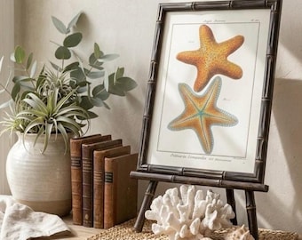 Vintage Starfish Nautical Print in Dark Bamboo Style Frame