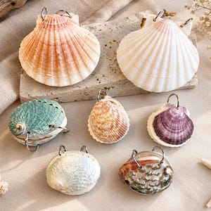 May include: A collection of seven natural seashells, each fitted with a silver-toned metal ring at the top. The shells vary in colour, including shades of white, orange, teal, purple, and iridescent pearlescent tones, featuring distinct textures.