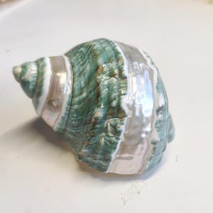 May include: A large, pearlescent seashell with a spiral shape. The shell features alternating bands of teal green and white, creating a striped pattern. The surface has a glossy sheen, reflecting light.